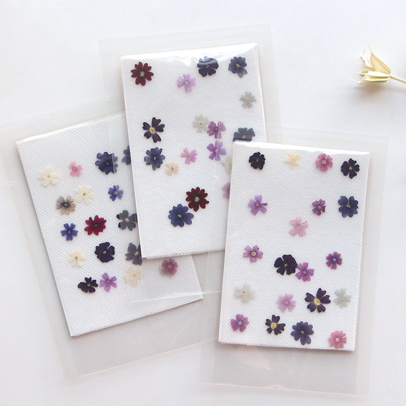Pressed Flower Frame - 40 unids/lote, Mini belleza cereza pétalos