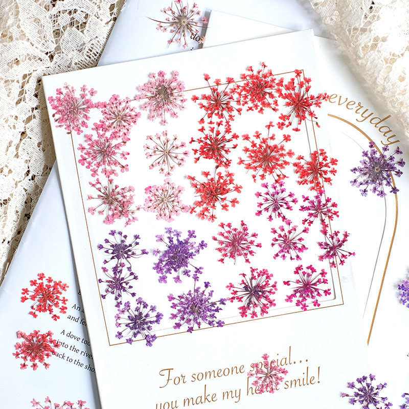 Pressed Flower Frame - 24 piezas, 2-2.5cm, Pétalos de Flores