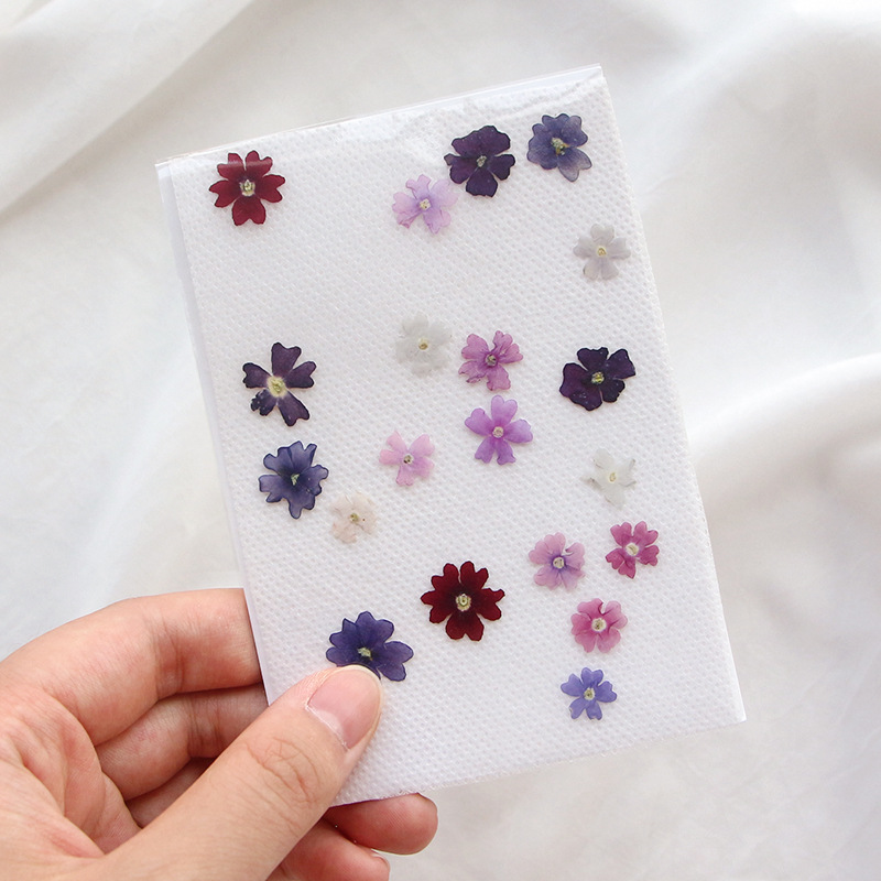40 unids/lote, Mini belleza ce - Pressed Flower Frame reseña y precio
