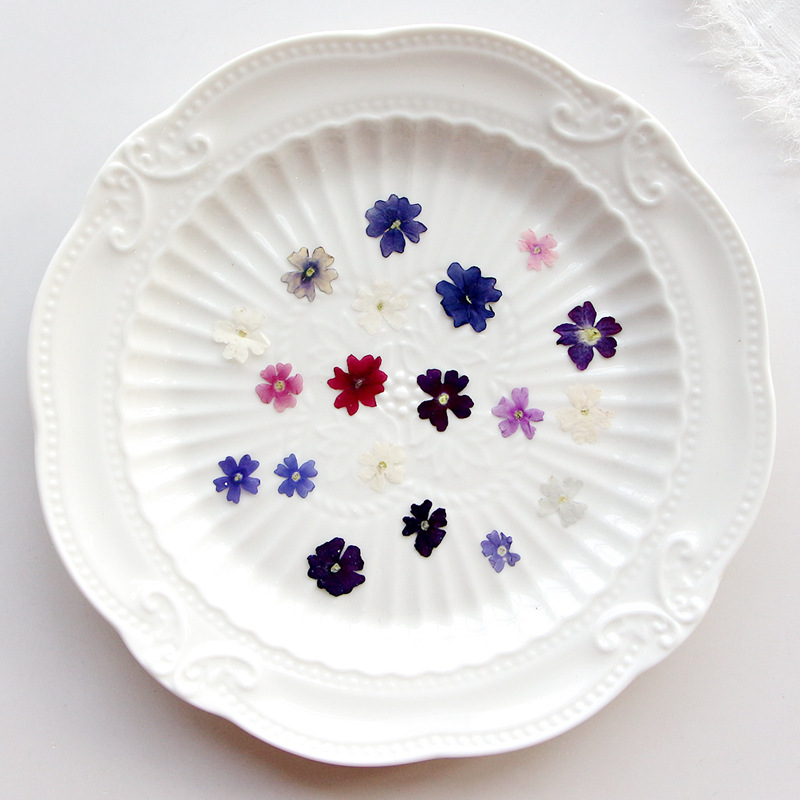 40 unids/lote, Mini belleza ce - Pressed Flower Frame reseña y precio