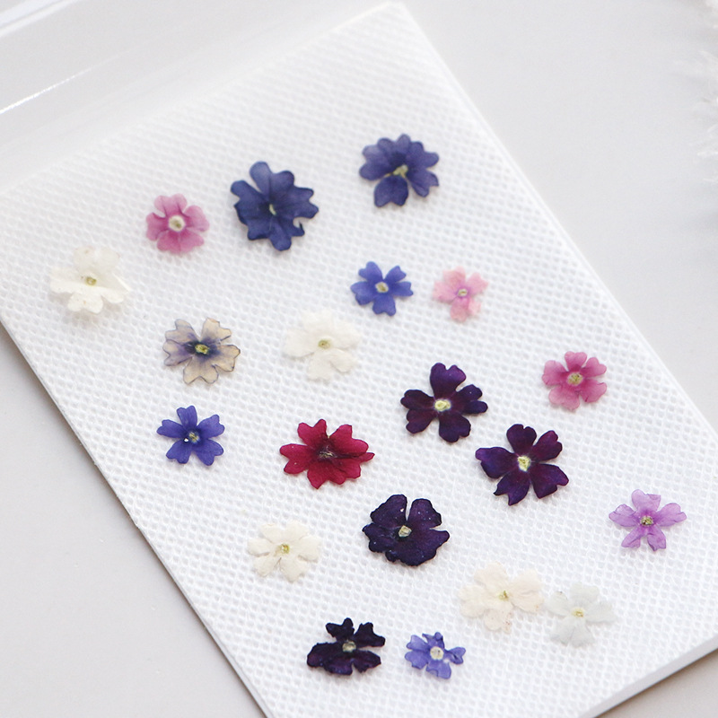 40 unids/lote, Mini belleza ce - Pressed Flower Frame reseña y precio