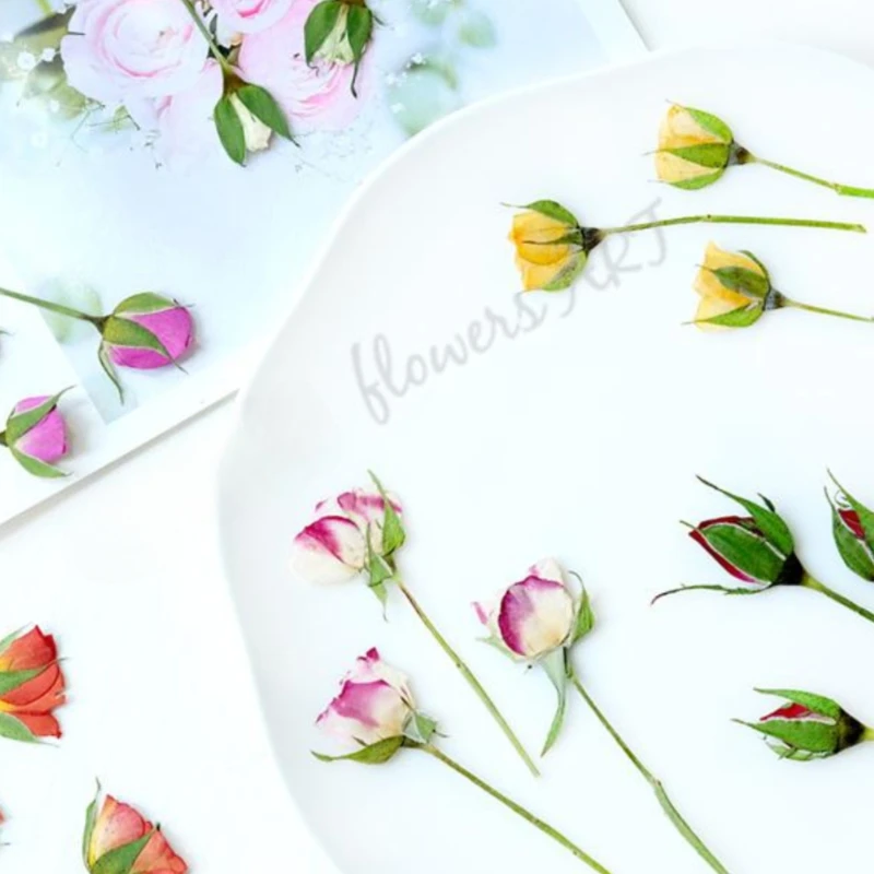 Pétalos de Rosa Prensados, Flo - Pressed Flower Frame reseña y precio
