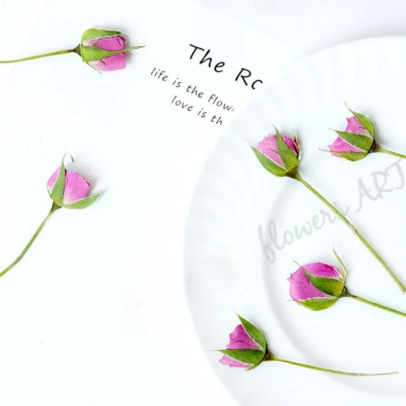 Pétalos de Rosa Prensados, Flo - Pressed Flower Frame reseña y precio