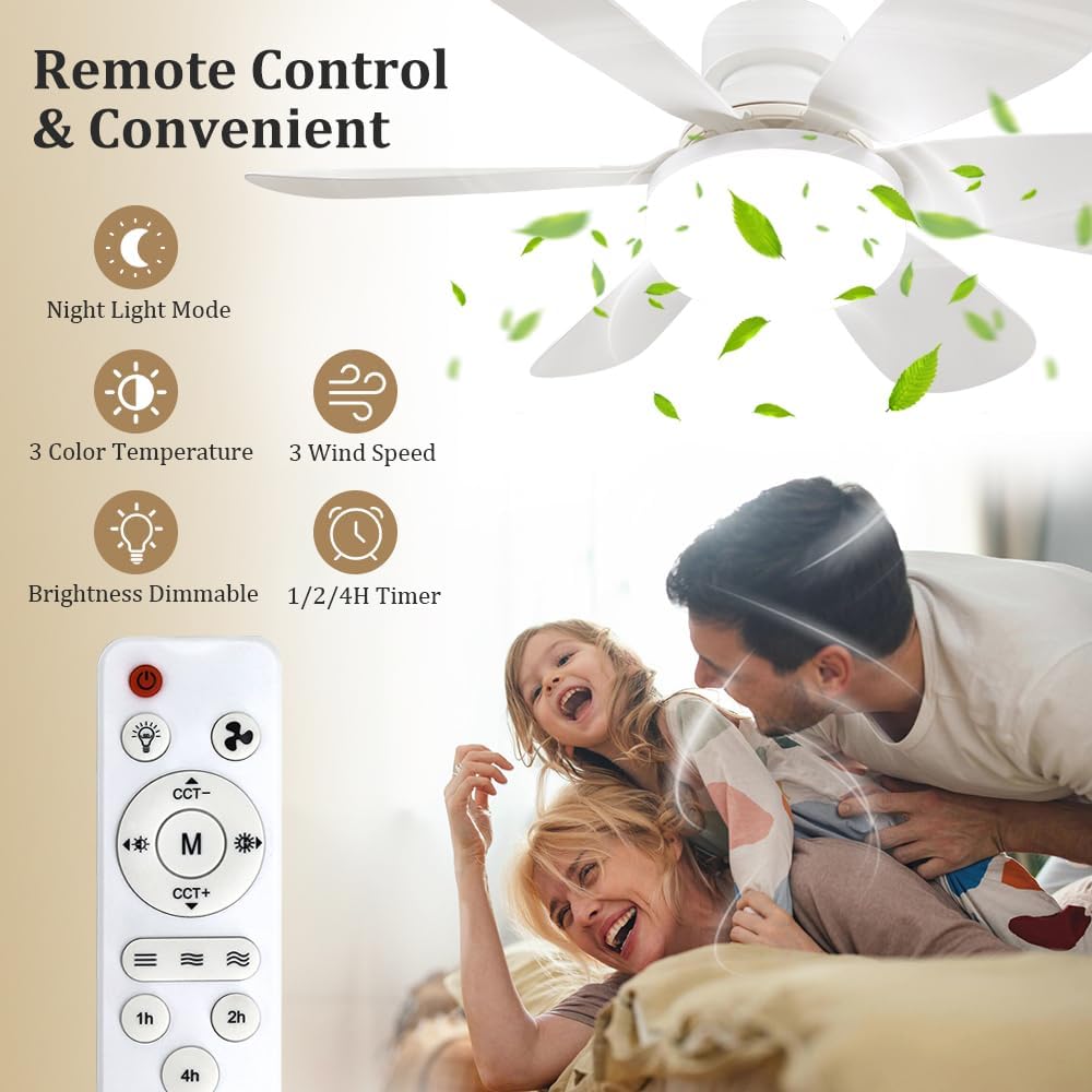 Ventilador de Techo con Luz y  - Home Decor Lighting reseña y precio