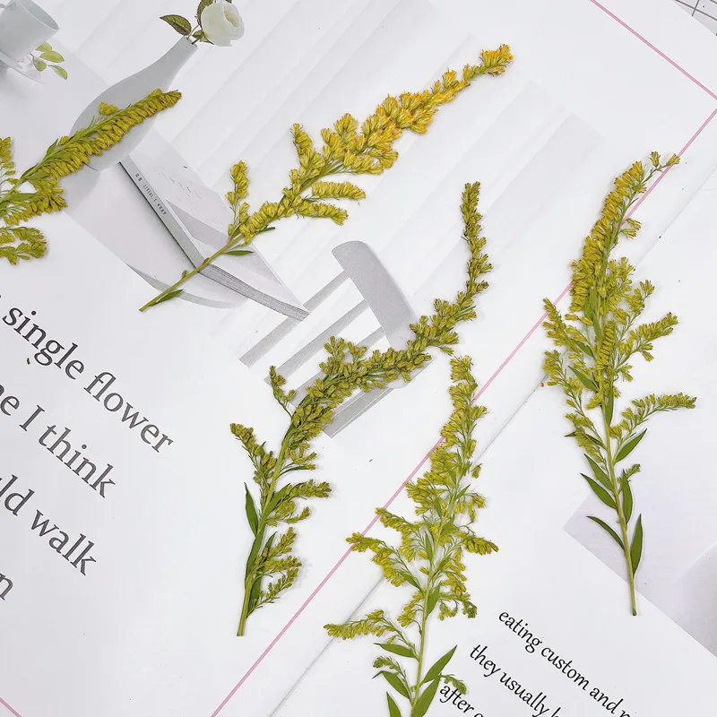 Marcapáginas de flores prensad - Pressed Flower Frame reseña y precio