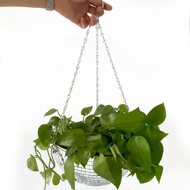 Maceta Colgante con Espejo Est - Woven Wall Basket reseña y precio